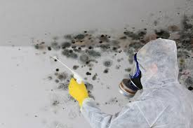 Best Mold Odor Removal Services  in Milford, NJ